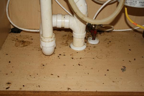 Hadley Termite Pest Control Inc