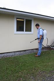 Pest Control Service in Baldwin County, AL